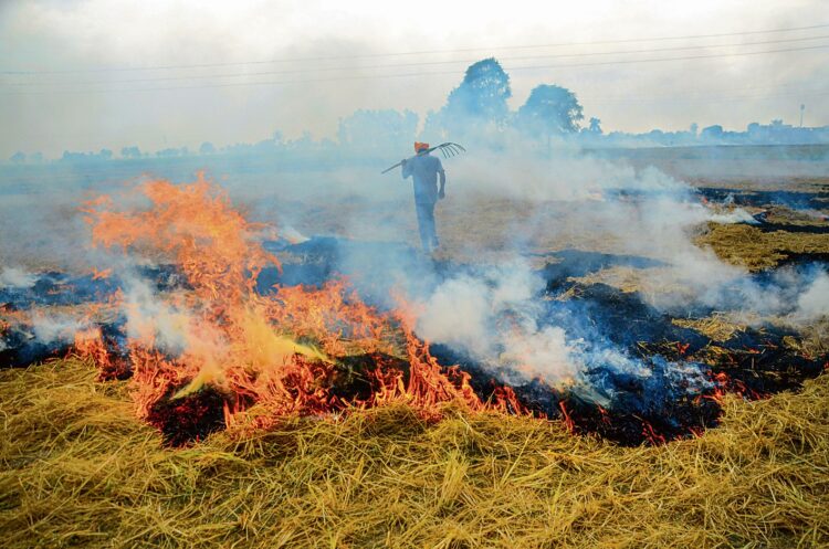 Amritsar: A farmer burns paddy stubble at a farm on the outskirts of Amritsar, Friday, Sept 23, 2022. The Punjab Pollution Control Board (PPCB) wants brick kiln owners in the state to replace at least 20% coal with the paddy-straw pellets for fuel requirements in the kilns. (PTI Photo) (PTI09_23_2022_000200A)