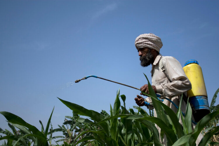 GD5PDE Farmer in his field